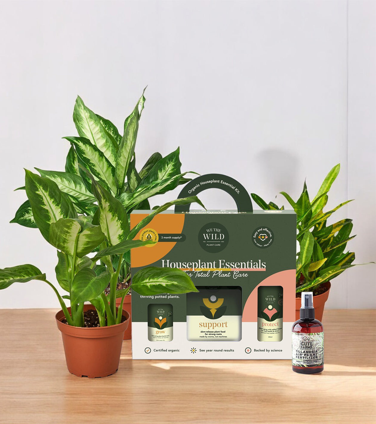 Plant Care & Accessories