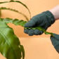 Leaf Cleaning Gloves