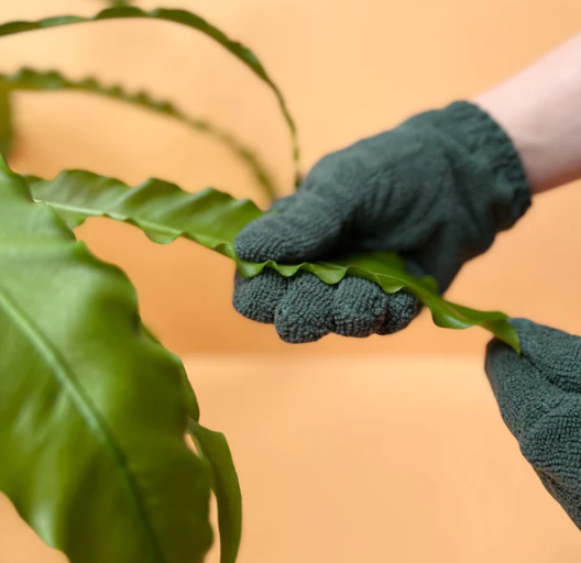Leaf Cleaning Gloves