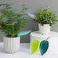 Leaf Waterer 2 Pack