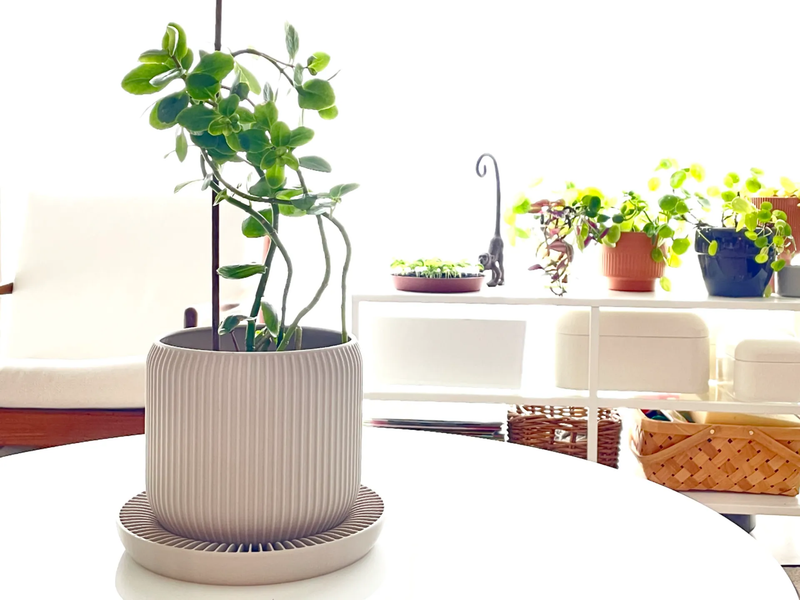 Propel Self Watering Planter