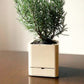 Self-Watering Herb/Flower Planter