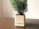 Self-Watering Herb/Flower Planter