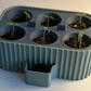 Self Watering Seed Starter