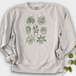 Hand Drawn Botanical Plant Crewneck
