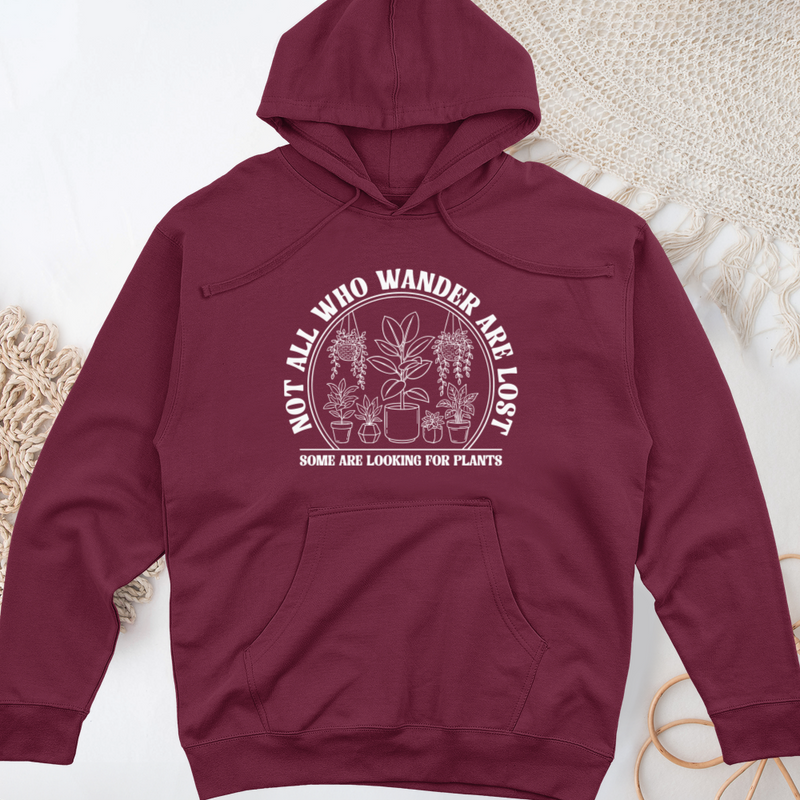 Not All Who Wander are Lost Midweight Hooded Sweatshirt