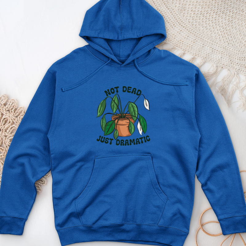 Not Dead Just Dramatic Midweight Hooded Sweatshirt