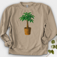 Pachira House Plant Crewneck