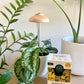 Instant Sun Grow Bulb